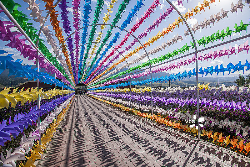 新疆伊犁新源县那拉提花海景区风车长廊图片素材