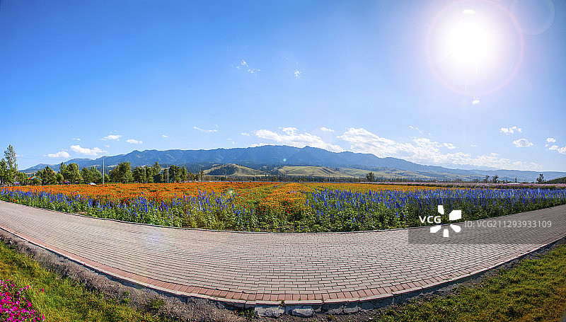 新疆伊犁新源县那拉提花海园公路图片素材