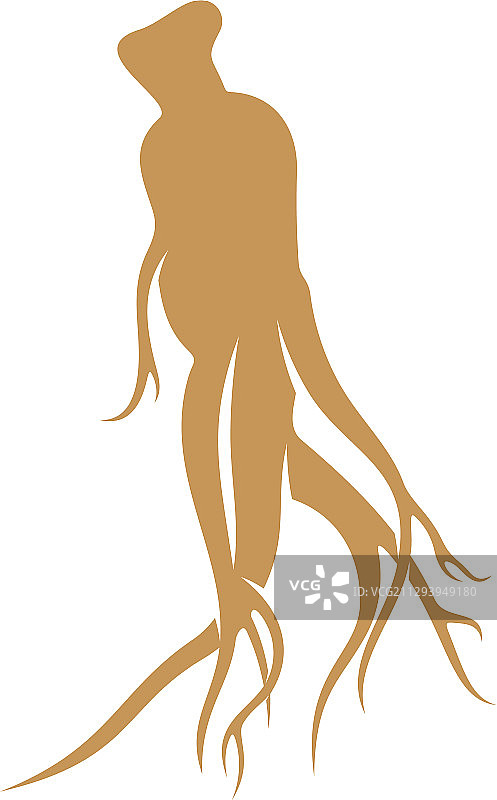 人参标志设计模板图片素材