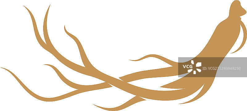 人参标志设计模板图片素材