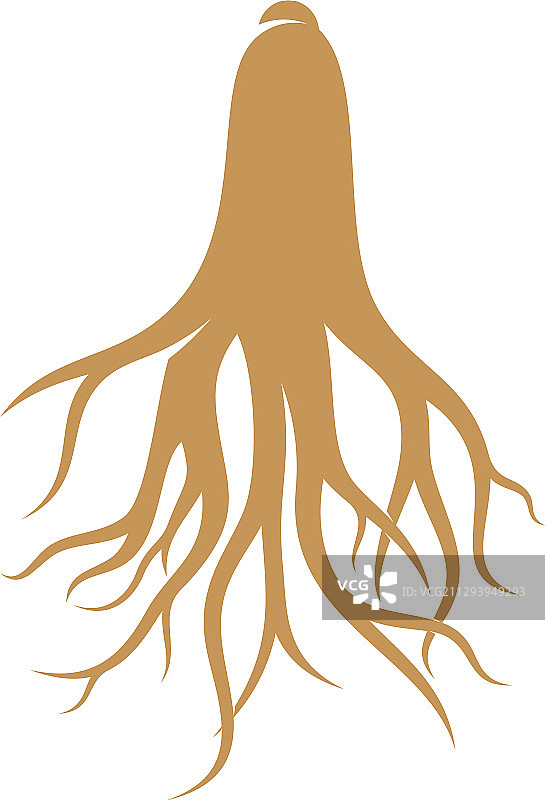 人参标志设计模板图片素材