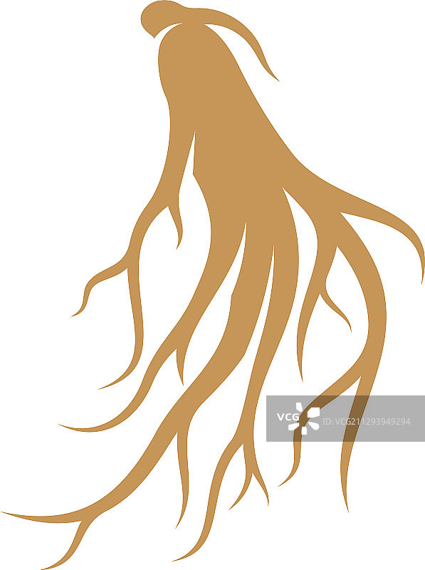 人参标志设计模板图片素材