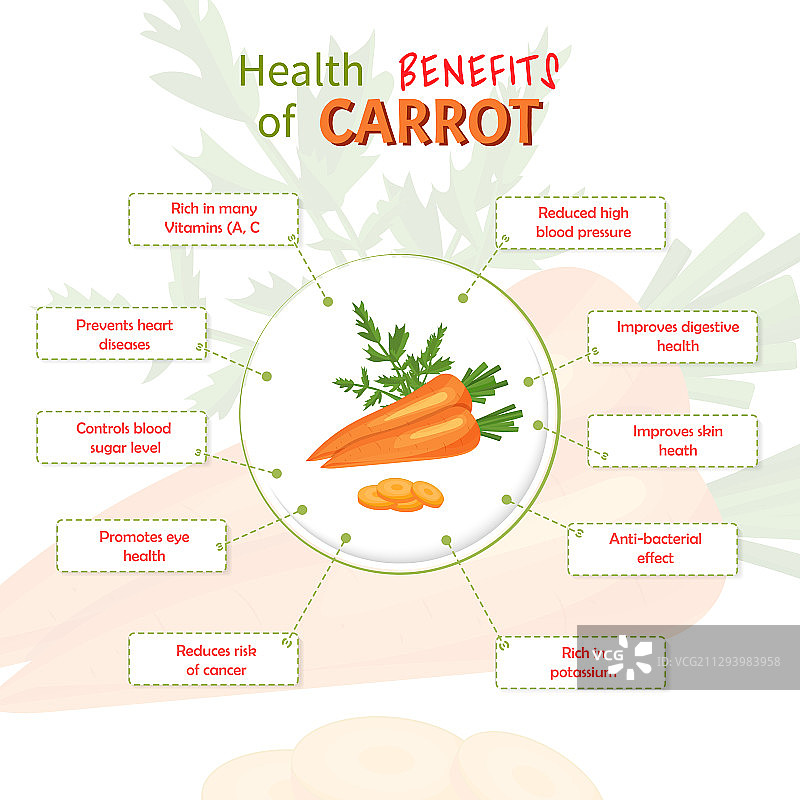 胡萝卜的健康益处与营养成分图片素材