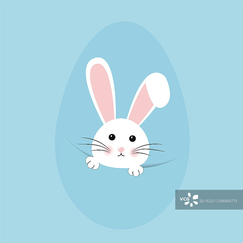 复活节兔子图片素材