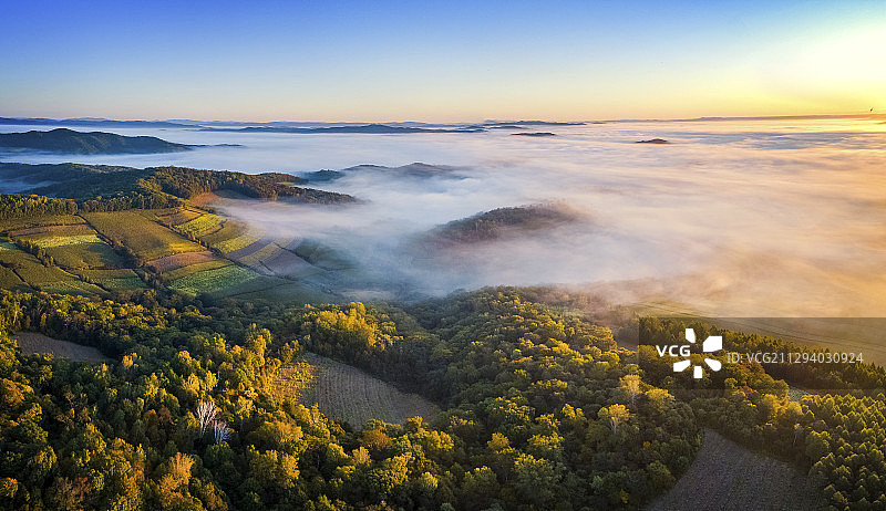美不胜收的金秋大地图片素材