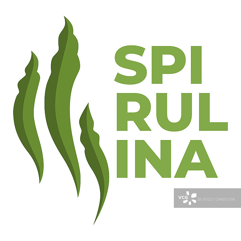 螺旋藻超级食品图片素材