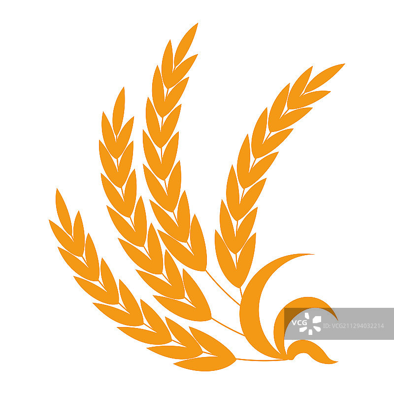 小麦、大麦、黑麦和小米穗图片素材