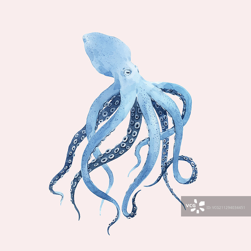 美丽的水下水彩章鱼图片素材