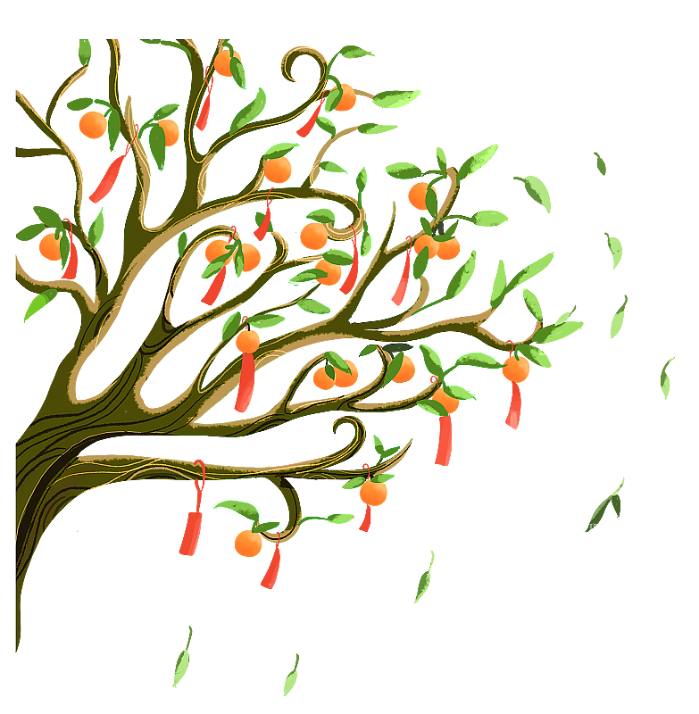 桔子树图片素材