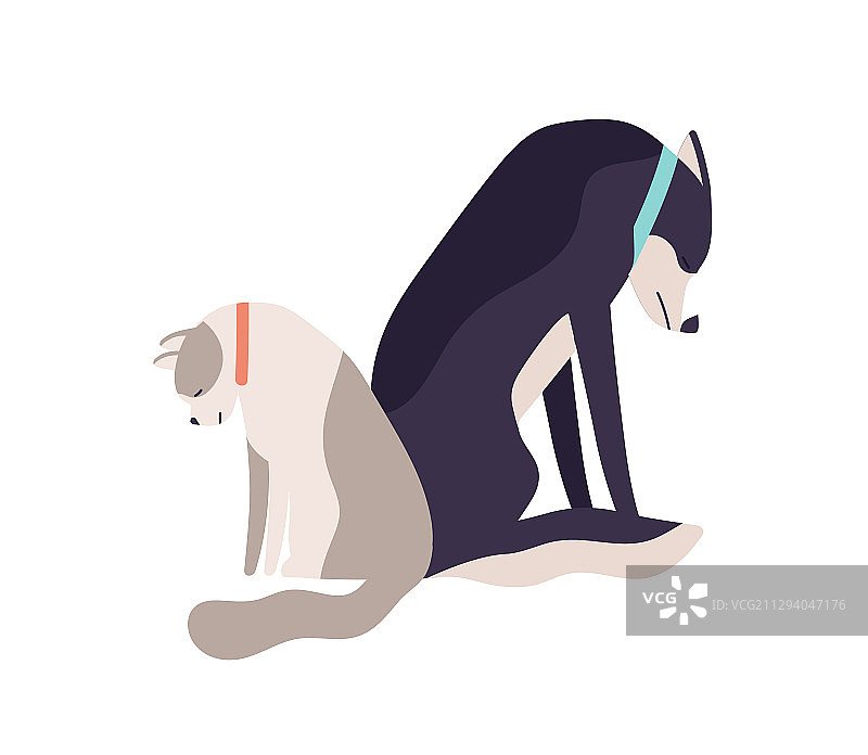 不开心的被遗弃的猫和狗坐在一起图片素材