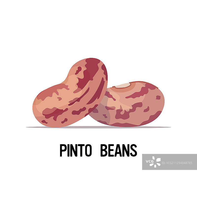 有机健康素食菜豆图片素材