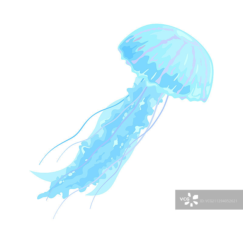 蓝色和紫色美丽的水母图片素材