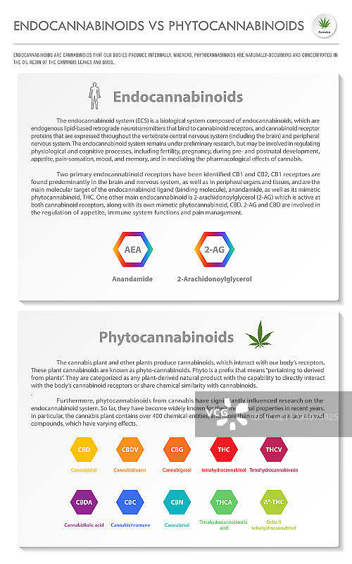 内源性大麻素与植物大麻素（竖版）图片素材