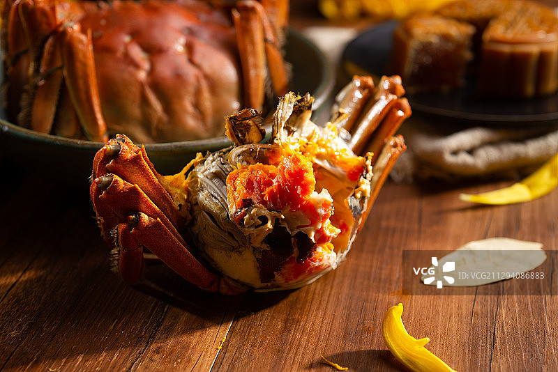 阳澄湖大闸蟹图片素材