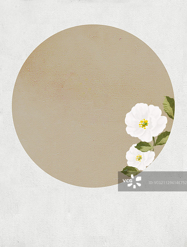中国风古典有白茶花的圆形海报图片素材