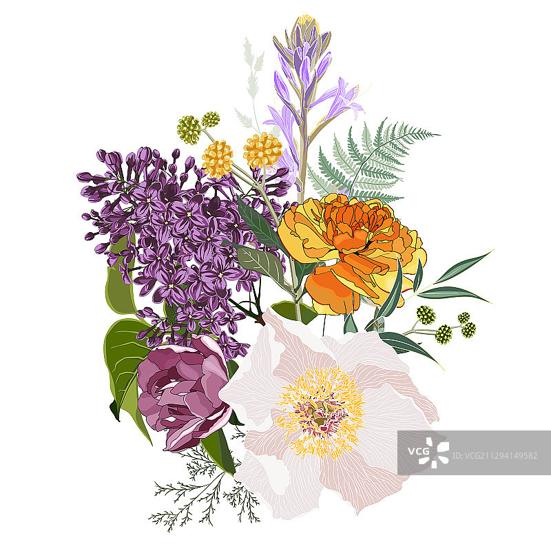 紫色春季丁香花束图片素材