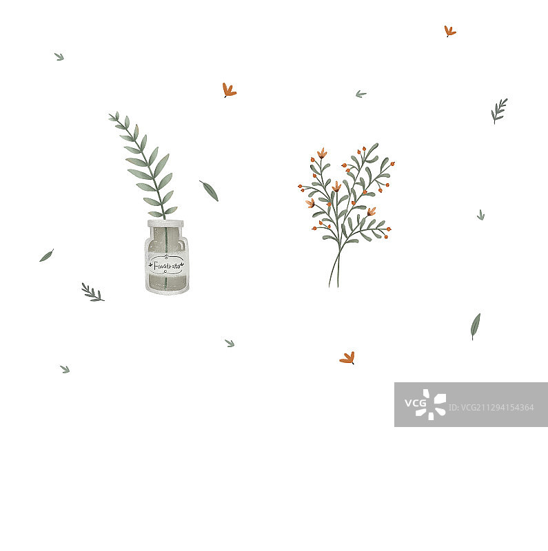 小清新植物图片素材
