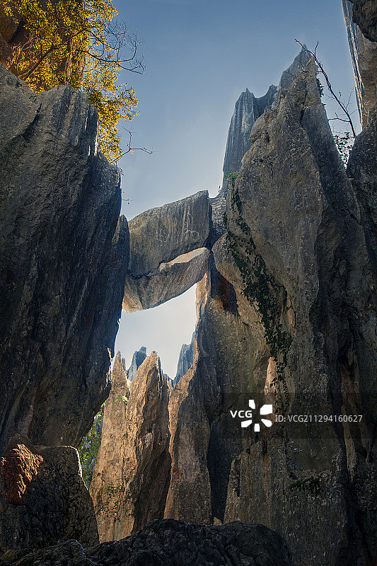 石林（7）图片素材