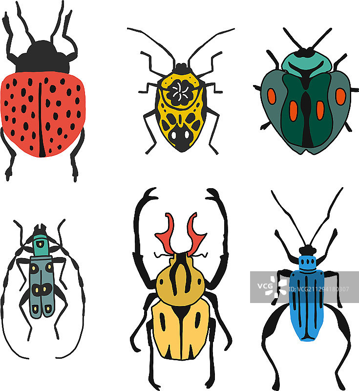 不同类型的昆虫和甲虫合集图片素材