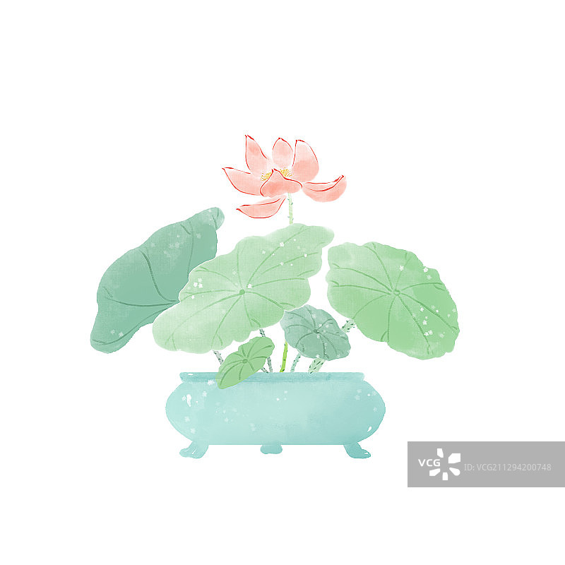 荷花盆景插画图片素材