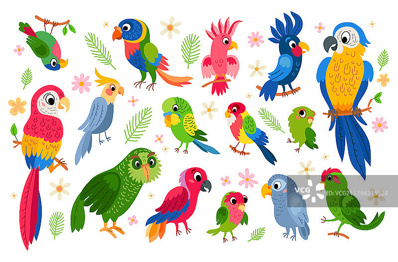 热带鹦鹉角色合集图片素材