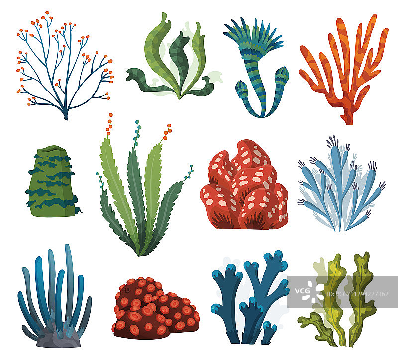 水彩海藻和珊瑚独立元素套装图片素材