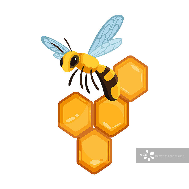 带蜂蜜滴的蜂窝，带蜜蜂的甜蜂蜜图片素材