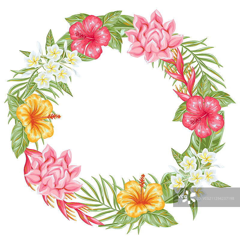 热带花卉和树叶相框图片素材