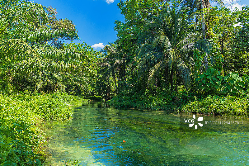热带风光图片素材