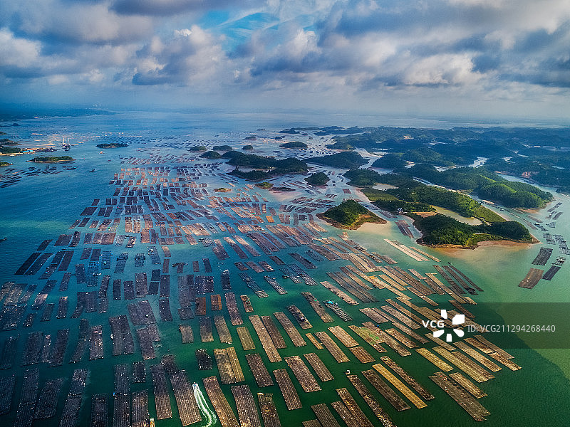 蚝排奇观图片素材