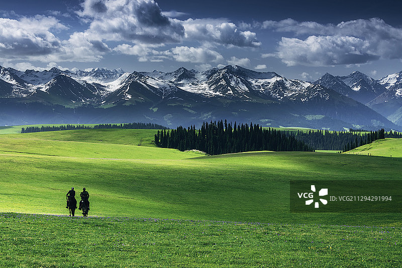 喀拉峻大草原图片素材