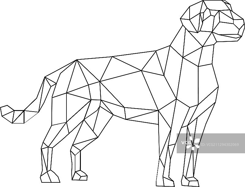 拉布拉多犬线框低多边形线条艺术图片素材
