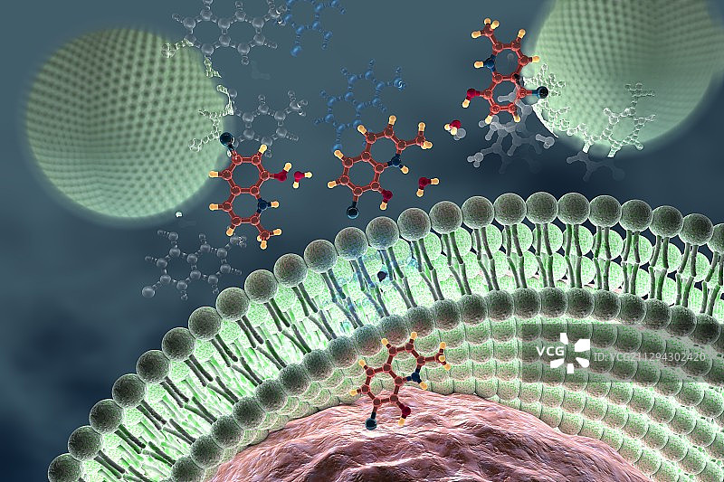 通过细胞膜的运输，插图图片素材