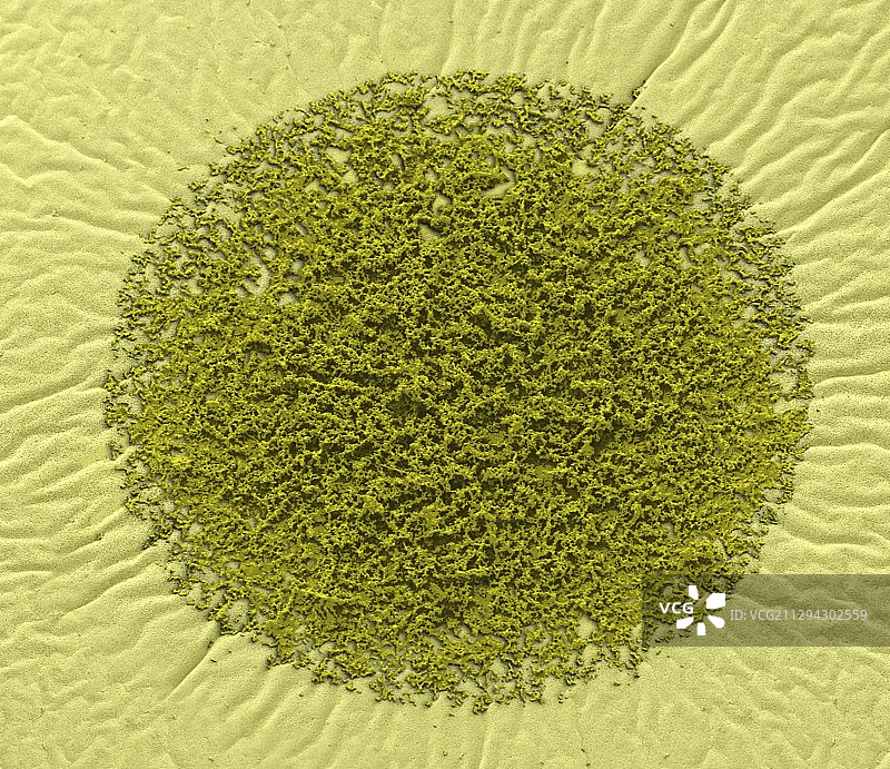 新生儿的手握着母亲的手指图片素材