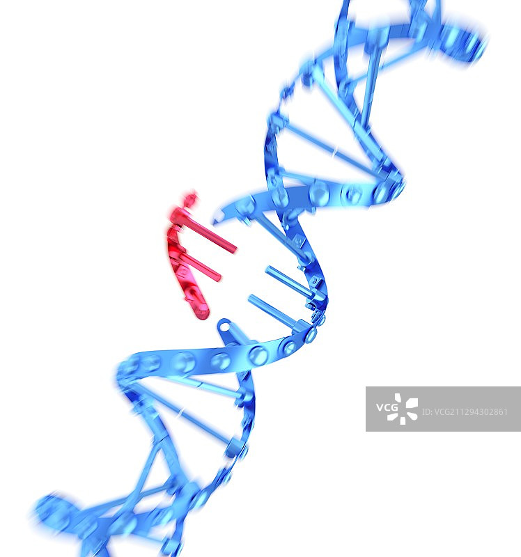 CRISPR-Cas9基因编辑插图图片素材