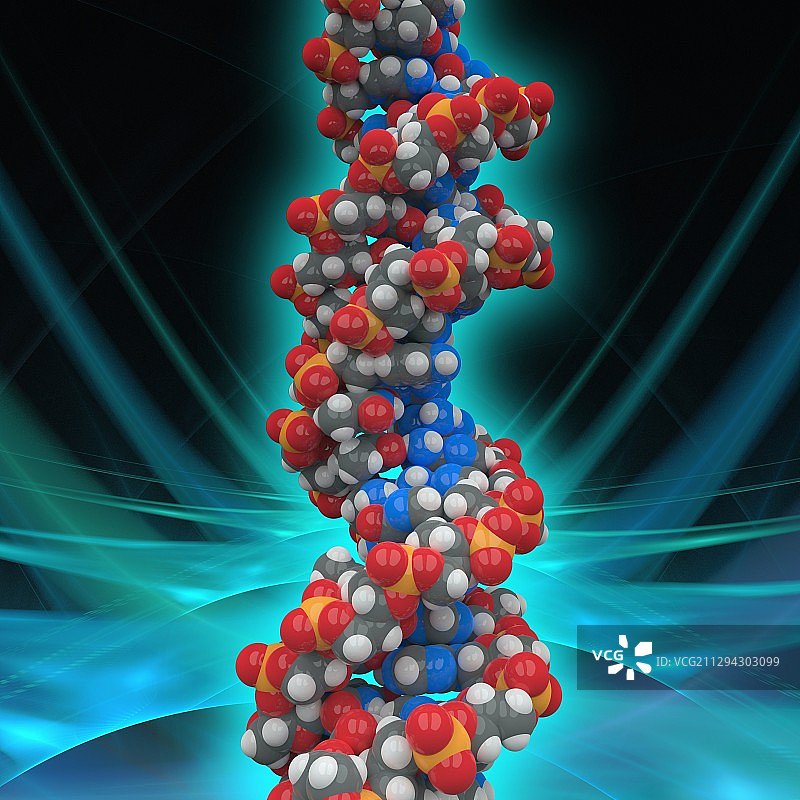 DNA分子模型，插图图片素材