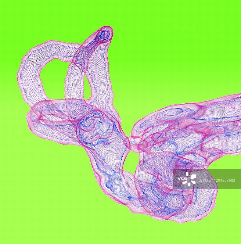 内耳结构3D核磁共振扫描图片素材