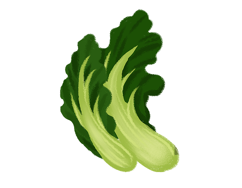 两颗小白菜图片素材