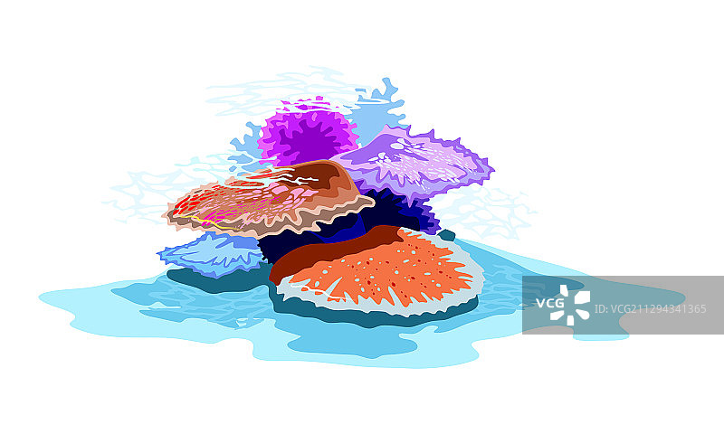 橙红色紫蓝色水下美丽珊瑚图片素材