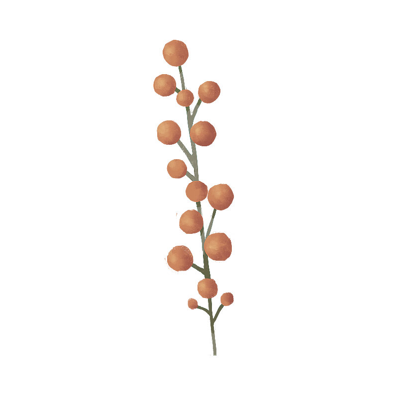 秋天元素图片素材