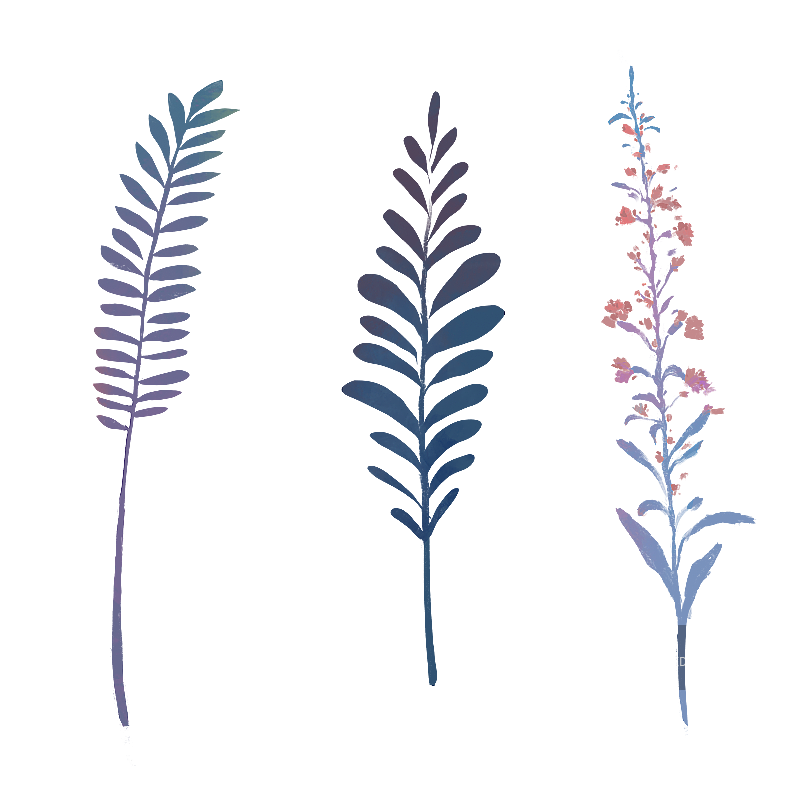 花和草图片素材