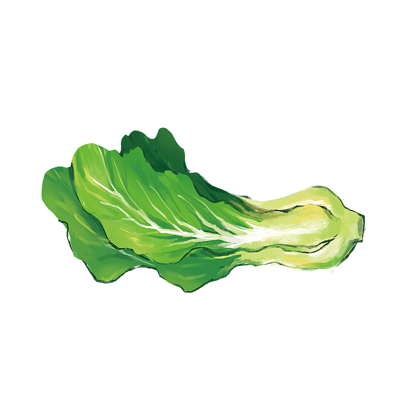 美食蔬菜和肉类元素图片素材