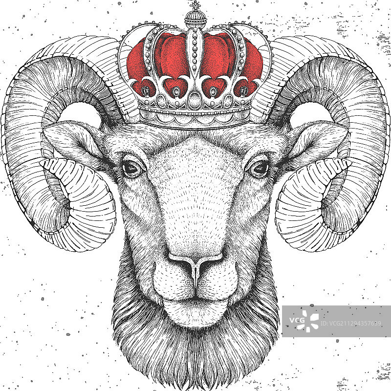 戴皇冠的时尚动物公羊或盘羊图片素材