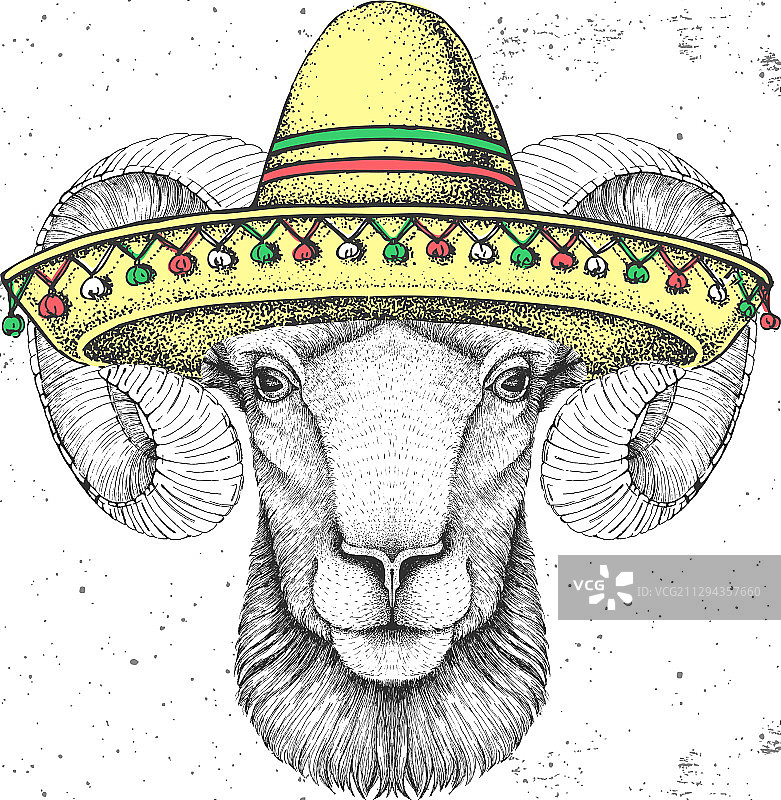 戴着墨西哥帽的时尚动物公羊或盘羊图片素材