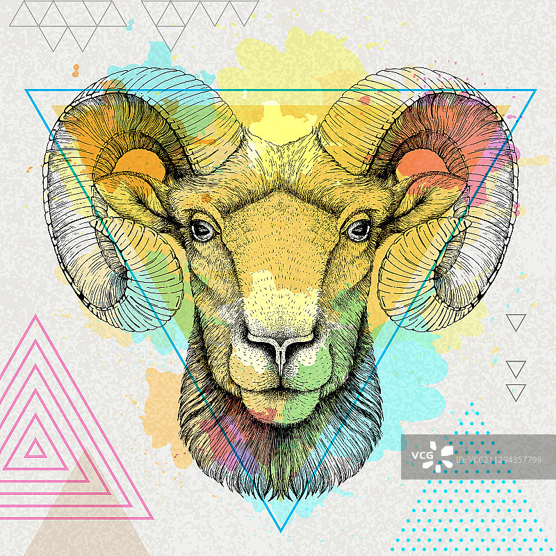 写实风格的时尚绵羊图片素材