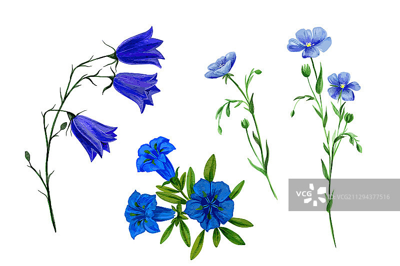 野生田野花草水彩套装图片素材