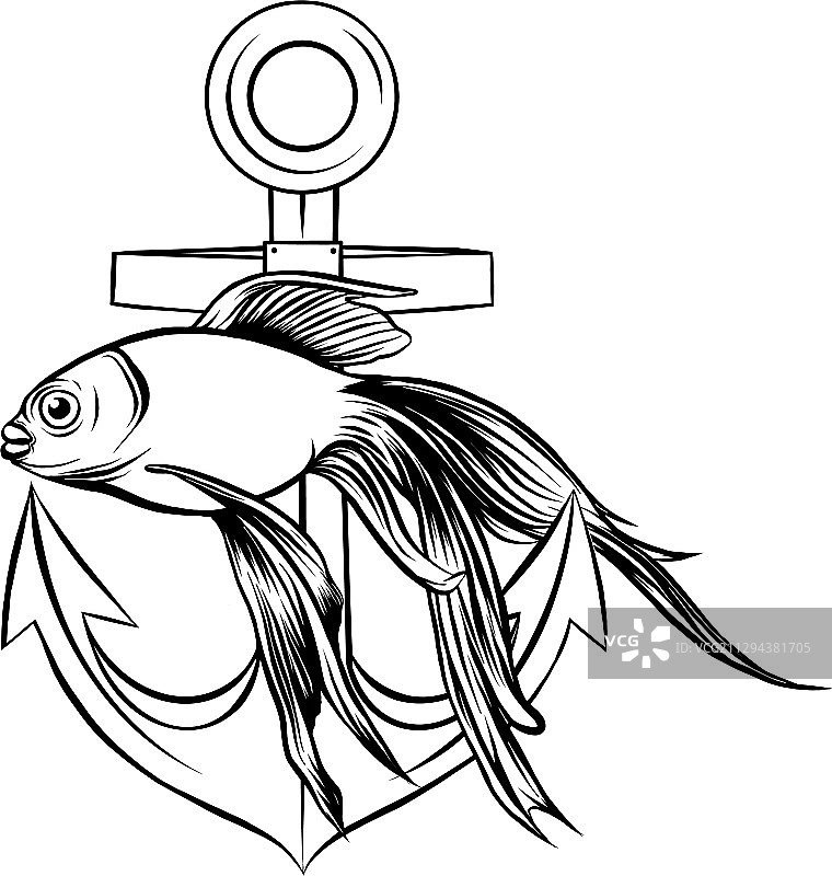 金色淡水金鱼图片素材