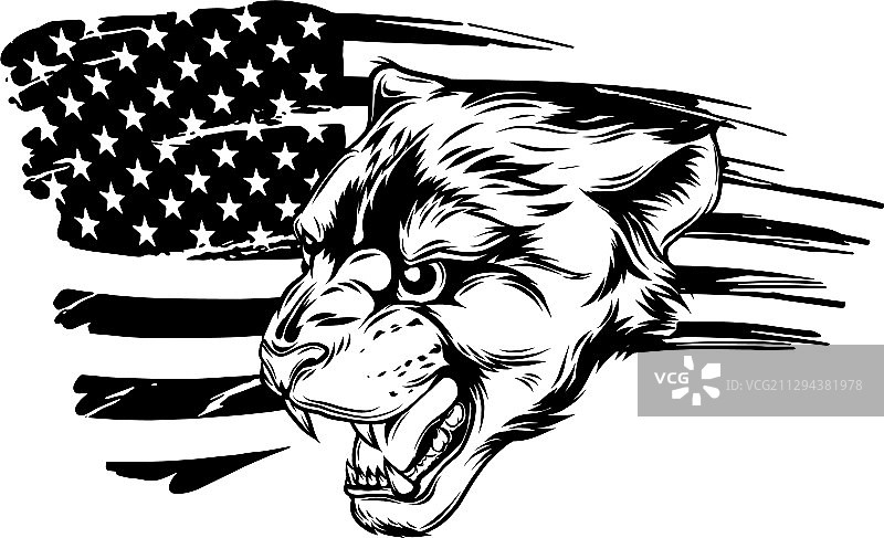 美洲狮黑豹吉祥物头像图形艺术图片素材