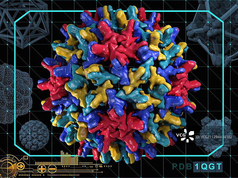 人类乙型肝炎病毒衣壳图片素材