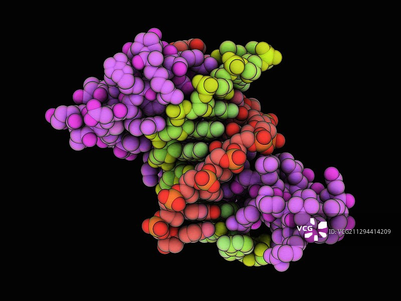 与DNA结合的锌指蛋白图片素材